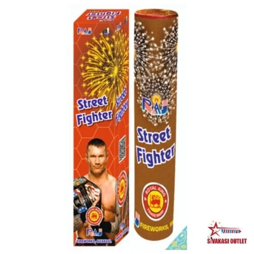 Street Fighter