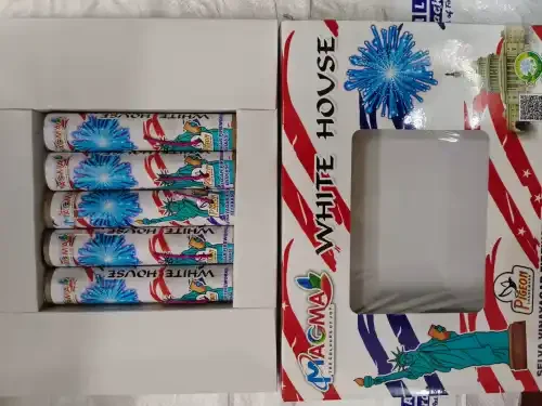 White House (5 pcs)